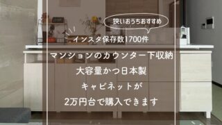【狭い家におすすめ】奥行30cmのカウンター下収納はコレ!大容量の収納&日本製キャビネットが2万円台で購入できます【インスタ保存数1700件】