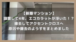 【新築マンション】設置して4年、エコカラットが浮いた！？撤去してアクセントクロスに張り替えました。原因をまとめました。