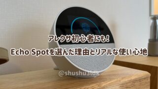 アレクサ初心者にも！Echo Spotを選んだ理由とリアルな使い心地
